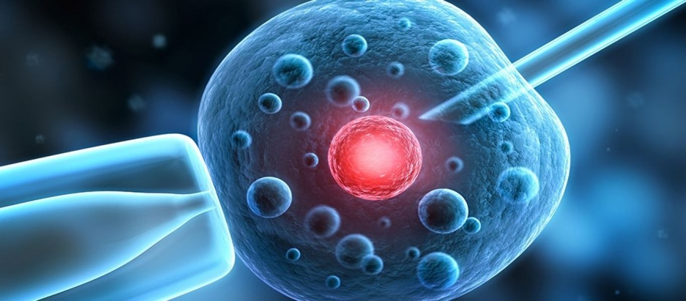 Επιστήμονες δημιούργησαν στο εργαστήριο σφαίρες κυττάρων που μιμούνται με εξαιρετική ακρίβεια τη βλαστοκύστη
