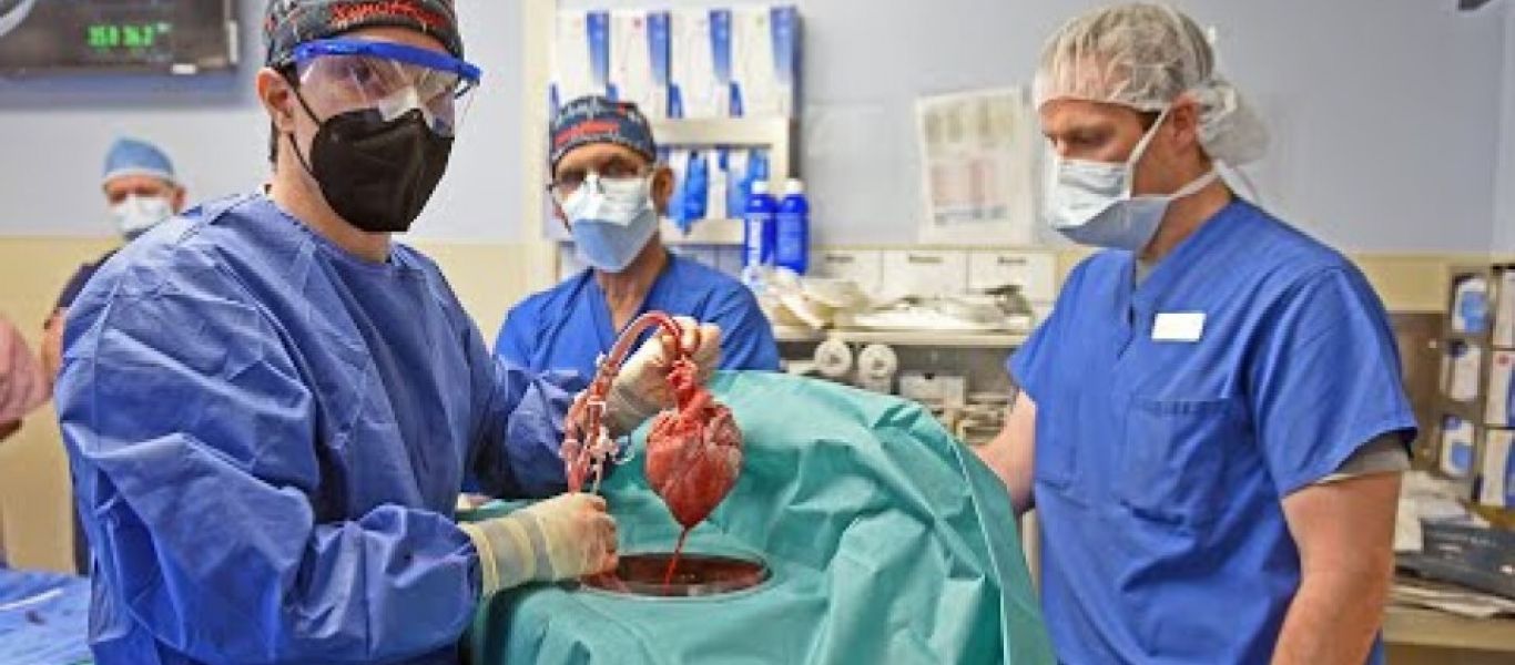 Γεγονός η πρώτη μεταμόσχευση καρδιάς από γενετικά τροποποιημένο χοίρο σε άνθρωπο στον κόσμο