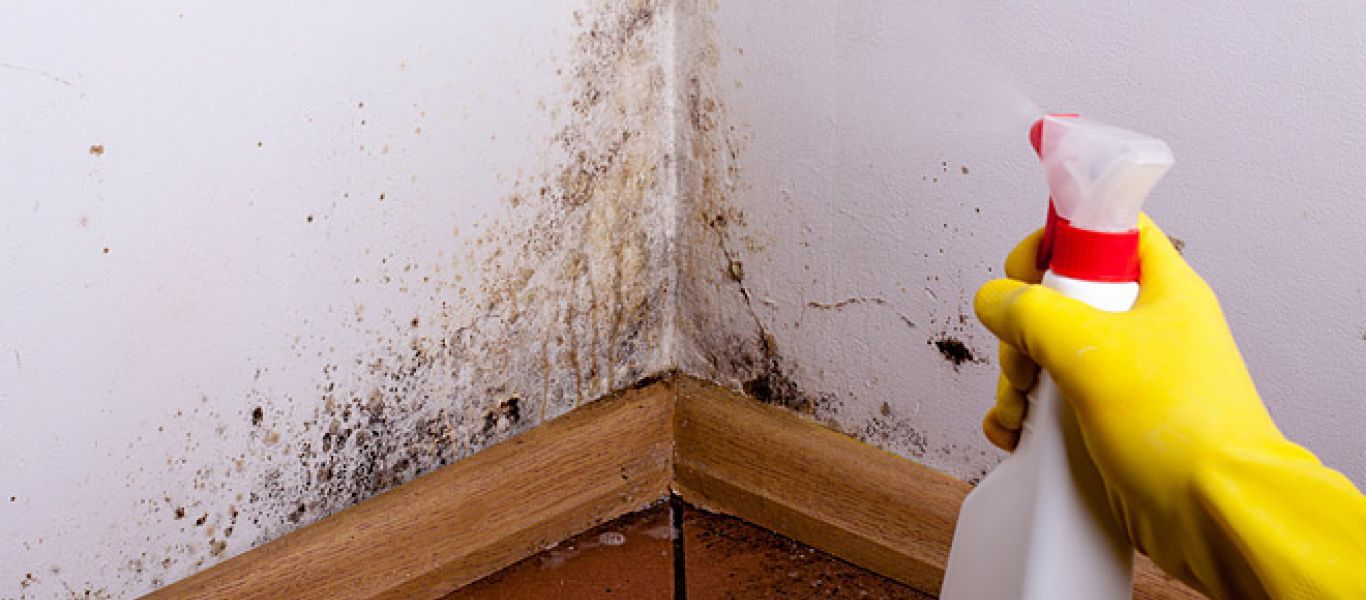Δείτε πώς θα εξαφανίσετε πανεύκολα την υγρασία και τη μούχλα
