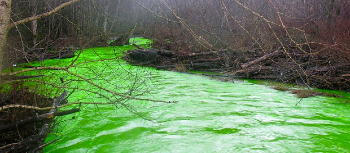 Δεν πίστευαν στα μάτια τους: Το ποτάμι έγινε πράσινο και… άρχισε να φωσφορίζει! (βίντεο)