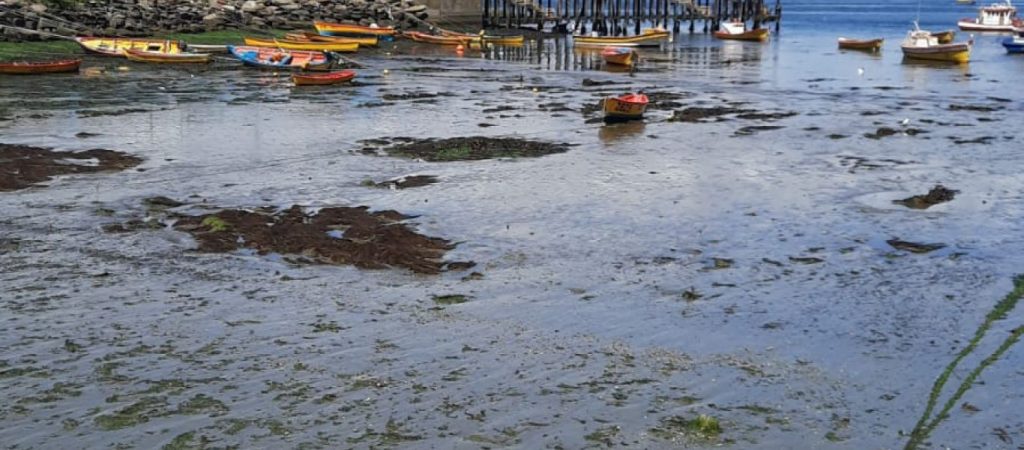 Χιλή: Υποχωρούν συνεχώς τα νερά από τις ακτές – Φόβοι για μεγάλο τσουνάμι