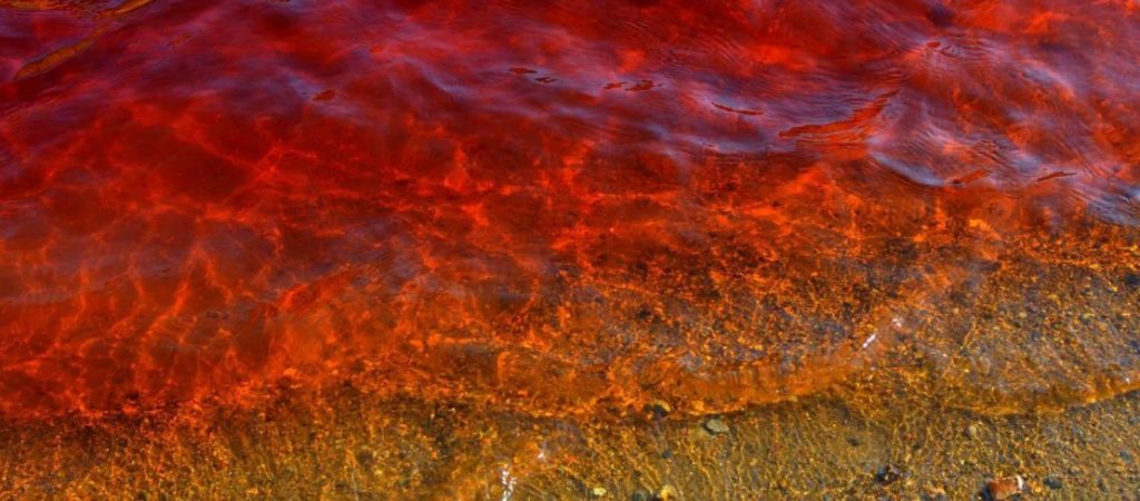 Κρήτη: Τι γίνεται με τον Γεροπόταμο και «βάφτηκε» κόκκινος! (φώτο)
