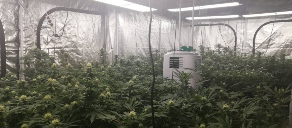 Καλλιέργεια ινδικής κάναβης και πλήρης εξοπλισμός ανακαλύφτηκε και κατασχέθηκε σε 2 διαμερίσματα στις Σέρρες!