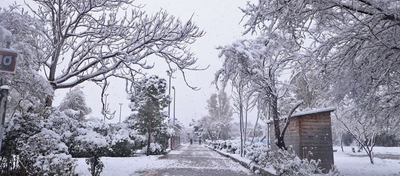 Καιρός: Πολικές θερμοκρασίες και χιόνια σήμερα ακόμα και στο κέντρο της Αθήνας – Πού θα παραμείνουν κλειστά τα σχολεία