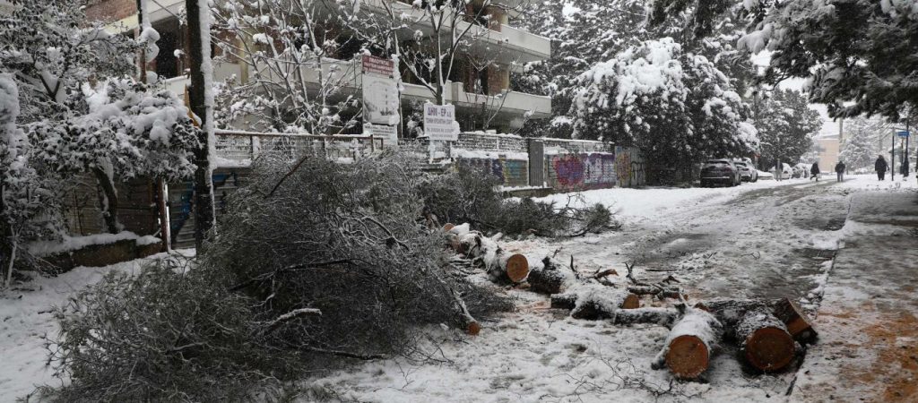 Ξεσπά κάτοικος στο Ντράφι Αττικής: «Είμαστε 36 ώρες χωρίς ρεύμα & τρόφιμα – Θα μας βοηθήσουν όταν θα έχουμε ξεπαγιάσει;»
