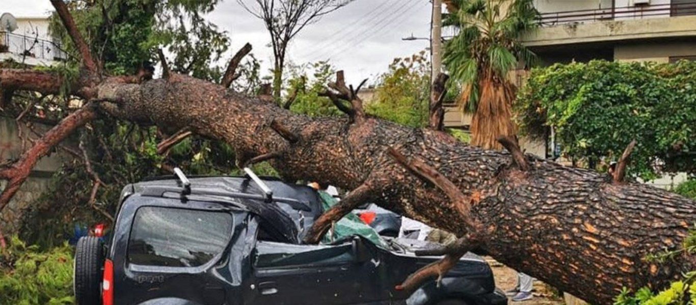 Δ.Αθηναίων: Αποζημιώσεις στους ιδιοκτήτες ΙΧ που υπέστησαν ζημιές από πτώσεις δέντρων λόγω της κακοκαιρίας «Ελπίς»