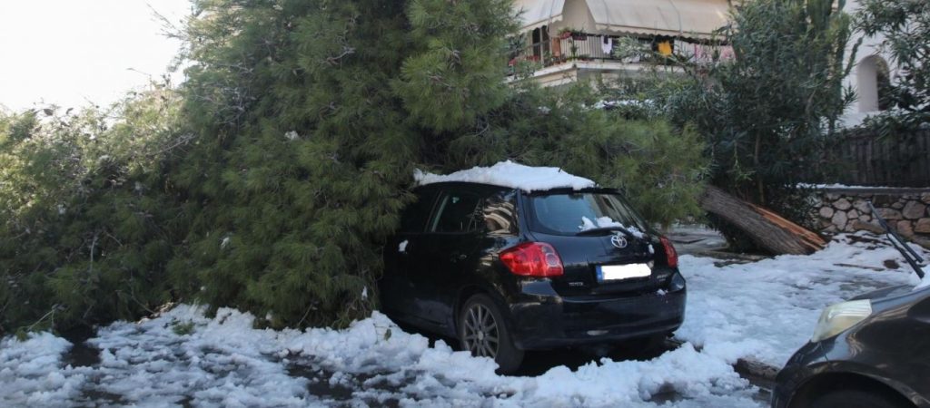 Δήμος Βριλησσίων: Αποζημιώσεις σε οχήματα με ζημιές λόγω πτώσης δέντρων
