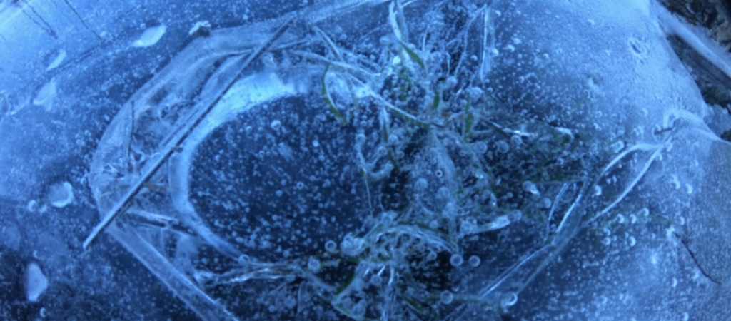 Εντυπωσιακές εικόνες από τον παγετό στη Λάρισα μετά το πέρασμα της κακοκαιρίας «Ελπίς» (βίντεο)