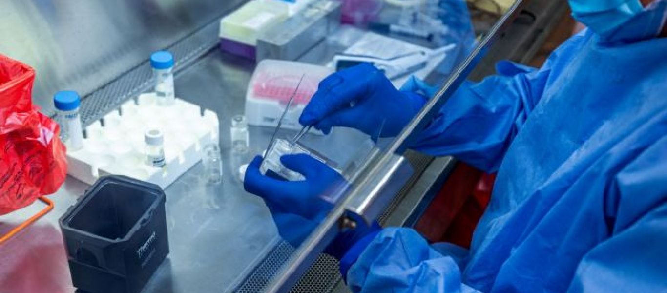 Κορωνοϊός:Τα Τ-λεμφοκύτταρα θα δώσουν λύση στους βαριά νοσούντες – Μελέτη δείχνει μείωση θνητότητας κατά 52%