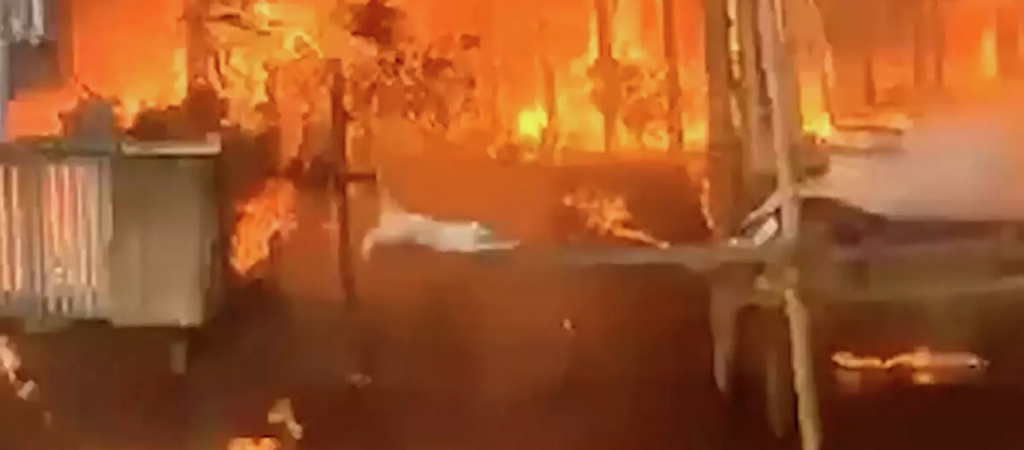 Απίστευτη διαφυγή: Γάτες πηδούν ανάμεσα από φλεγόμενα σπίτια για να ξεφύγουν από πυρκαγιά (βίντεο)