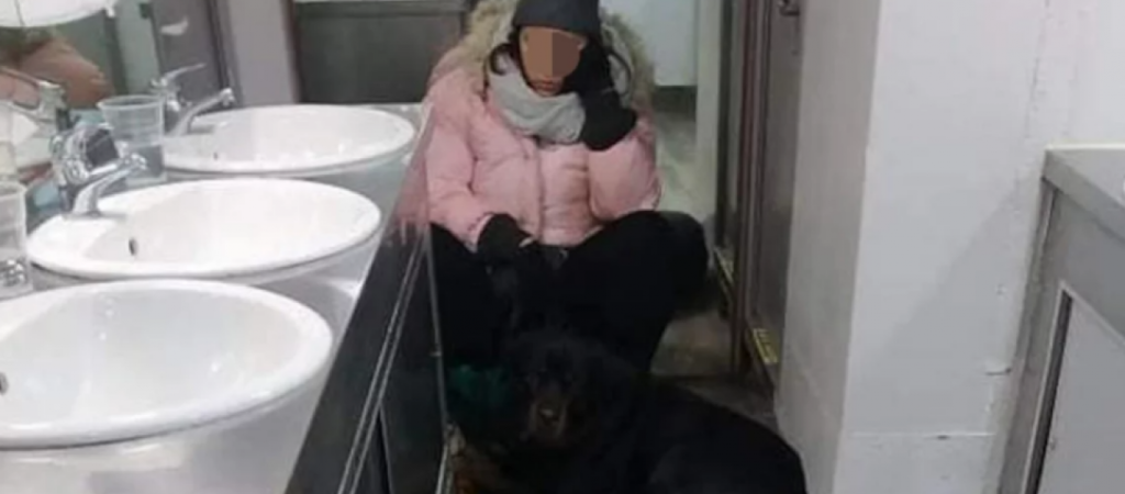 Σκόπελος: Γυναίκα καταγγέλλει ότι ταξίδεψε πέντε ώρες στην τουαλέτα του πλοίου γιατί δεν υπήρχε χώρος για τον σκύλο της