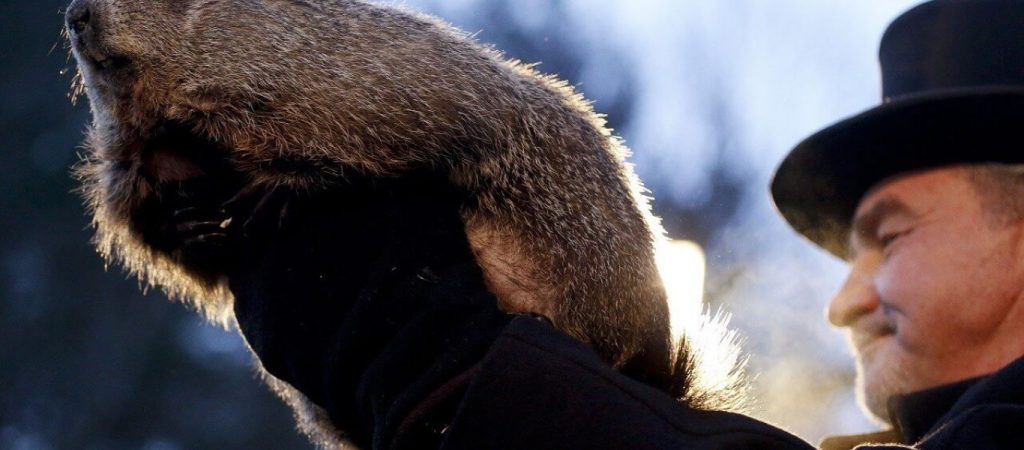 ΗΠΑ: Ο Φιλ η μαρμότα μίλησε –  Άλλες έξι εβδομάδες θα διαρκέσει ο βαρύς χειμώνας