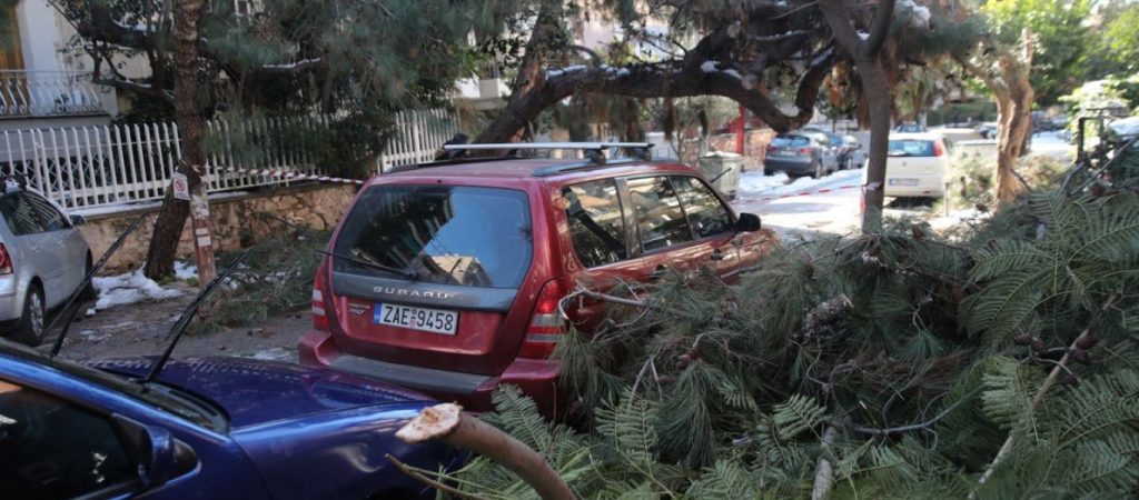 Μαζεύουν ακόμη πεσμένα δέντρα από την κακοκαιρία «Ελπίδα» σε Παπάγου και Χολαργό