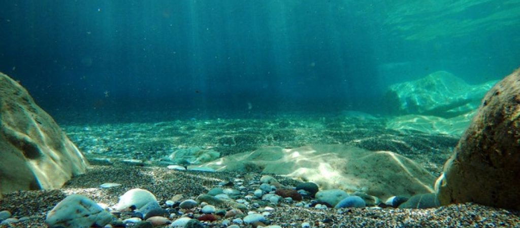 Αυτό είναι το μοναδικό αρσενικό που… «γεννάει» τα μωρά του (φωτο)