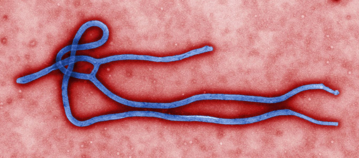 Συναγερμός στην Βρετανία για κρούσματα ιού παρόμοιου με Έμπολα – Φόβοι για εξάπλωση νέας πανδημίας;