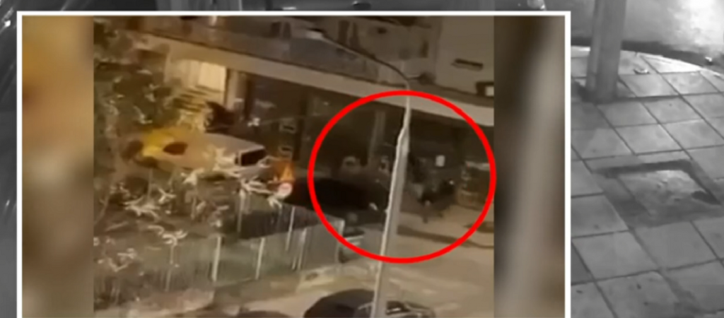 Δολοφονία Άλκη: Ολοκληρώνονται σήμερα οι απολογίες – Τα ερωτήματα που προκύπτουν