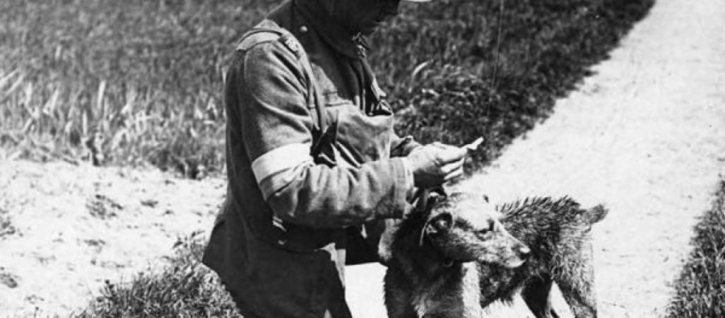 Το γνωρίζατε; – Πότε και γιατί άρχισαν να χρησιμοποιούν τα σκυλιά στους πολέμους;