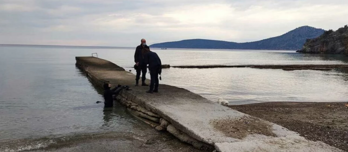 Μυστήρια εμφάνιση θαλάσσιου κήτους στο Τολό – Επενέβη το Λιμενικό (βίντεο)