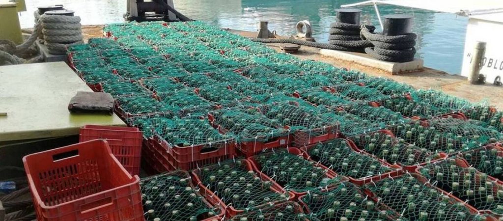Σχέδιο «Ναυάγιο»: Έριξαν 5.000 φιάλες κρασιού στην θάλασσα για… παλαίωση! (φωτο)