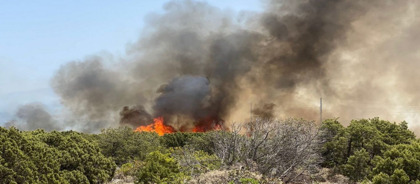 Θεσσαλονίκη: Σε εξέλιξη βρίσκεται φωτιά σε εργοστάσιο – Μαύροι καπνοί έχουν καλύψει τη δυτική πλευρά της πόλης