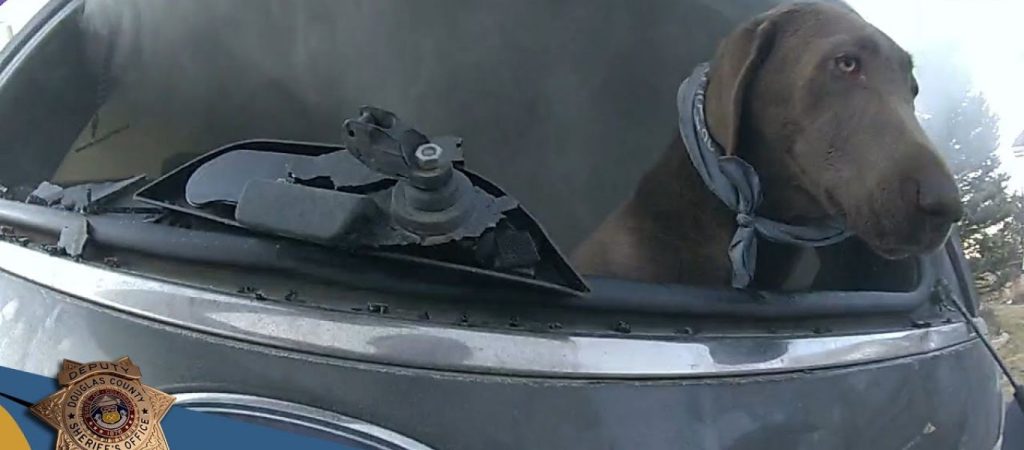 Ηρωϊκός αστυνομικός «ορμάει» σε φλεγόμενο αμάξι και σώζει τον παγιδευμένο σκύλο (βίντεο)