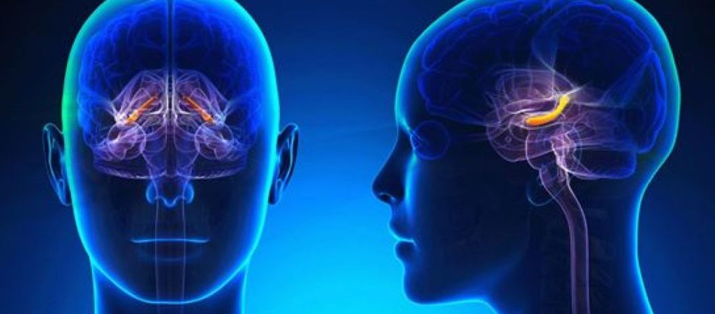 Αδένωμα υπόφυσης: Όσα πρέπει να ξέρετε – Ποιοι διαφορετικοί τύποι υπάρχουν