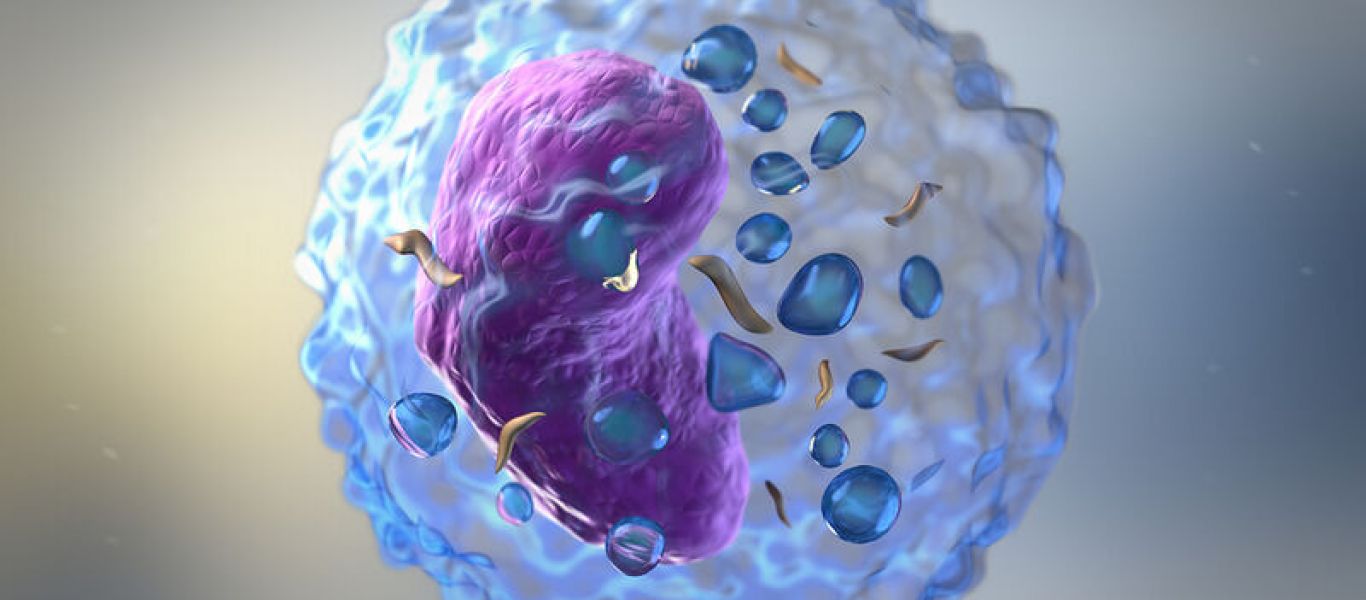 Λεμφοπενία: Τι ακριβώς είναι – Τα συμπτώματα και τα πιο συνηθισμένα αίτια