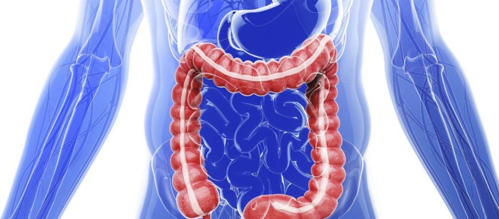 Πέντε τροφές που θα καθαρίσουν γρήγορα και φυσικά το πεπτικό σας σύστημα