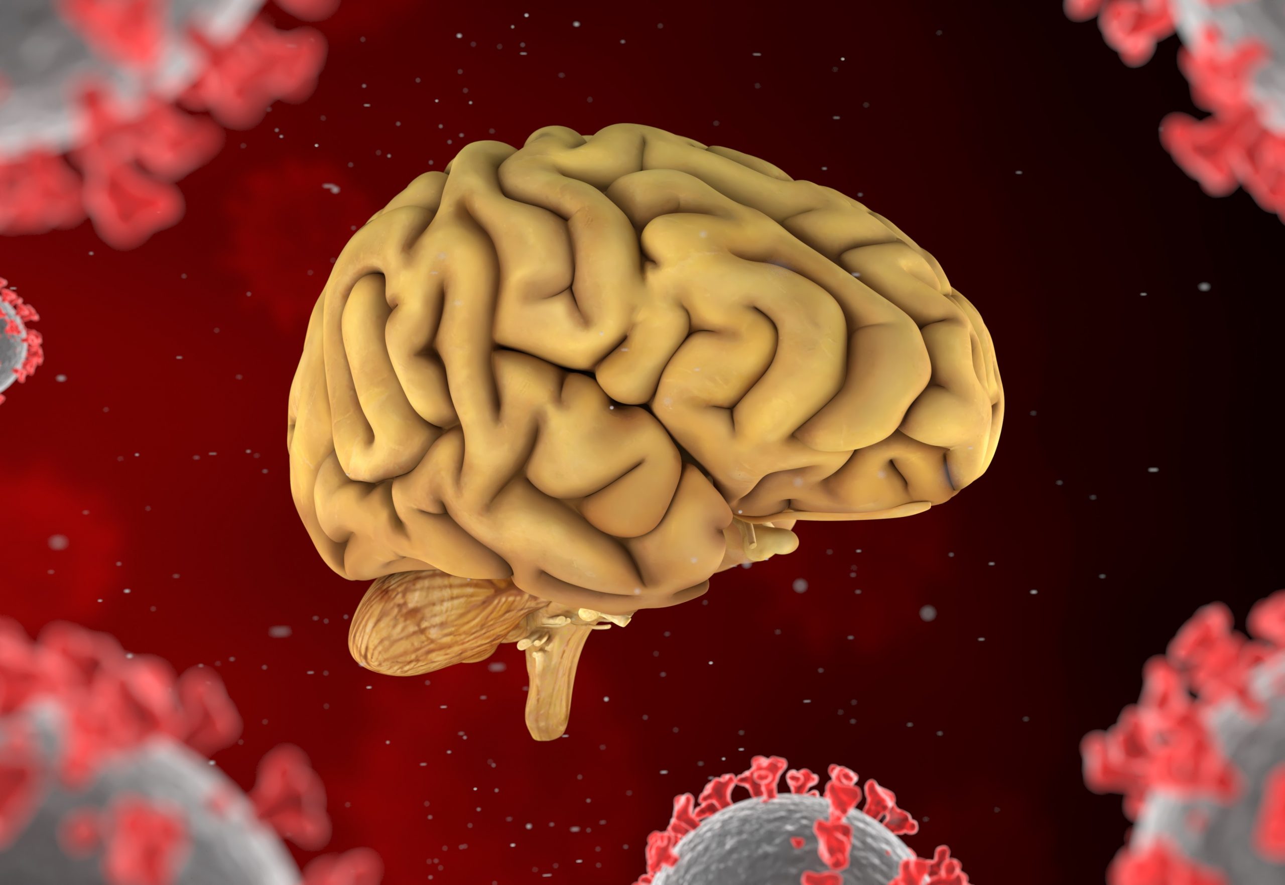 Νέα έρευνα δείχνει πως ο κορωνοϊός προκαλεί δομικές αλλαγές στον εγκέφαλο και μειώνει τη φαιά ουσία