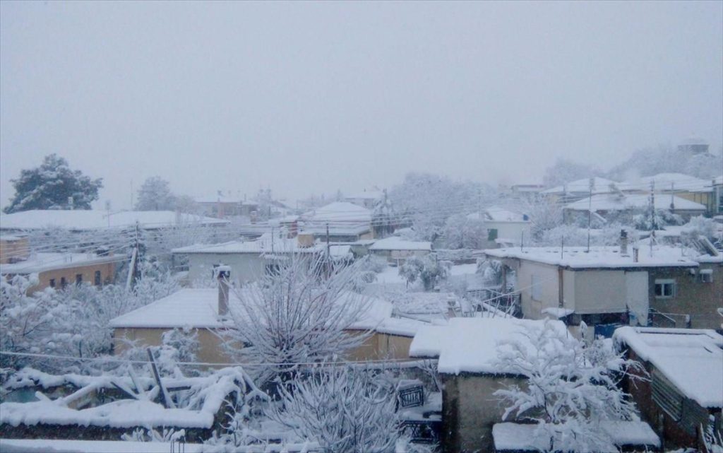 Κακοκαιρία «Φίλιππος»: Τους 40 πόντους έφτασε το χιόνι στη Φθιώτιδα (φώτο-βίντεο)