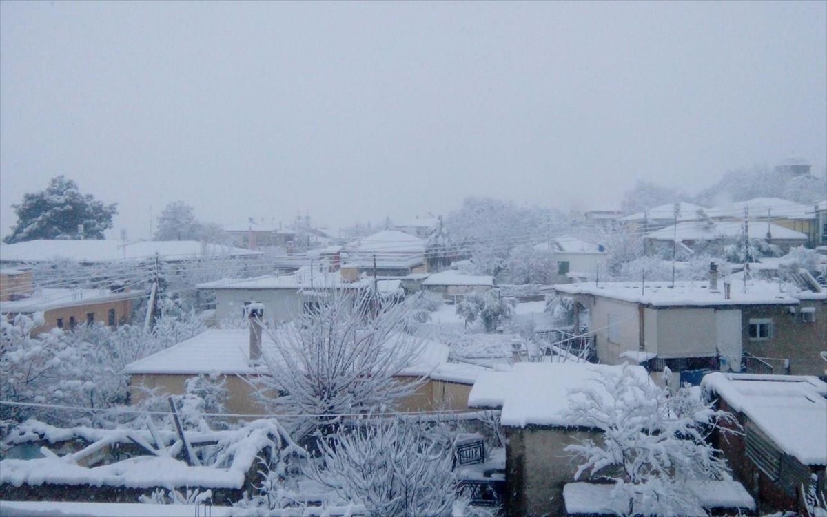 Κακοκαιρία «Φίλιππος»: Τους 40 πόντους έφτασε το χιόνι στη Φθιώτιδα (φώτο-βίντεο)