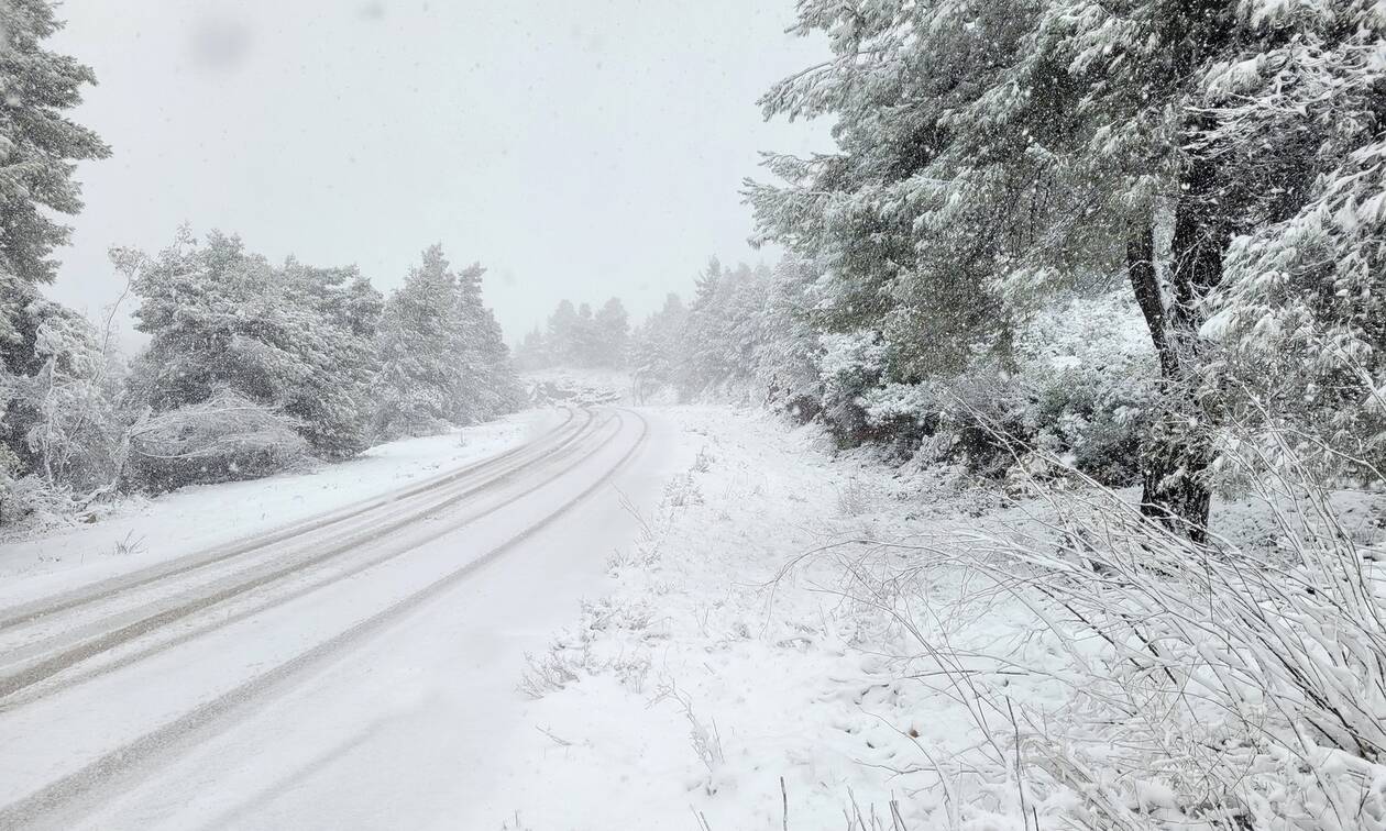 Κακοκαιρία: Ο «Φίλιππος» «σφυροκοπά» την Βόρεια Εύβοια – Το χιόνι ξεπερνά το 1,5 μέτρο (βίντεο)