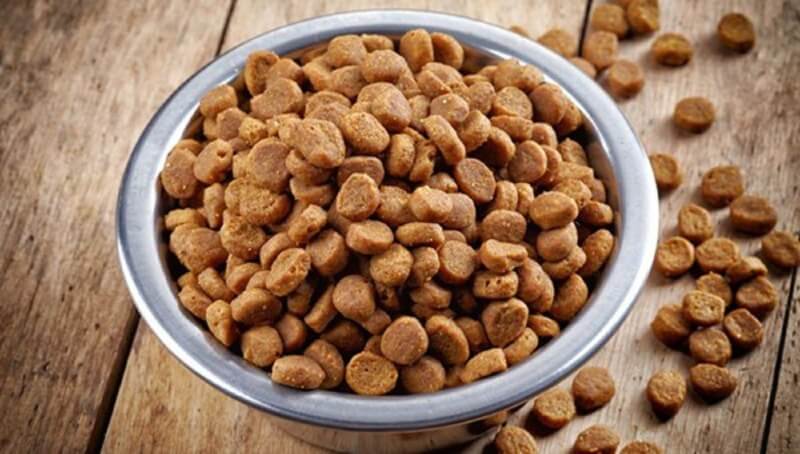 10+5 παράξενα επαγγέλματα που δεν γνωρίζατε ότι υπάρχουν