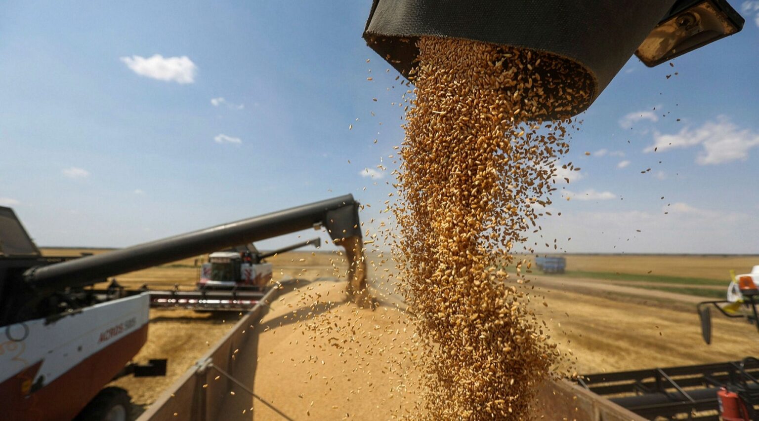 Ρώσος μεγιστάνας λιπασμάτων Α.Μελνιτσένκο: «Ετοιμαστείτε για παγκόσμια επισιτιστική  κρίση» - Pronews.gr