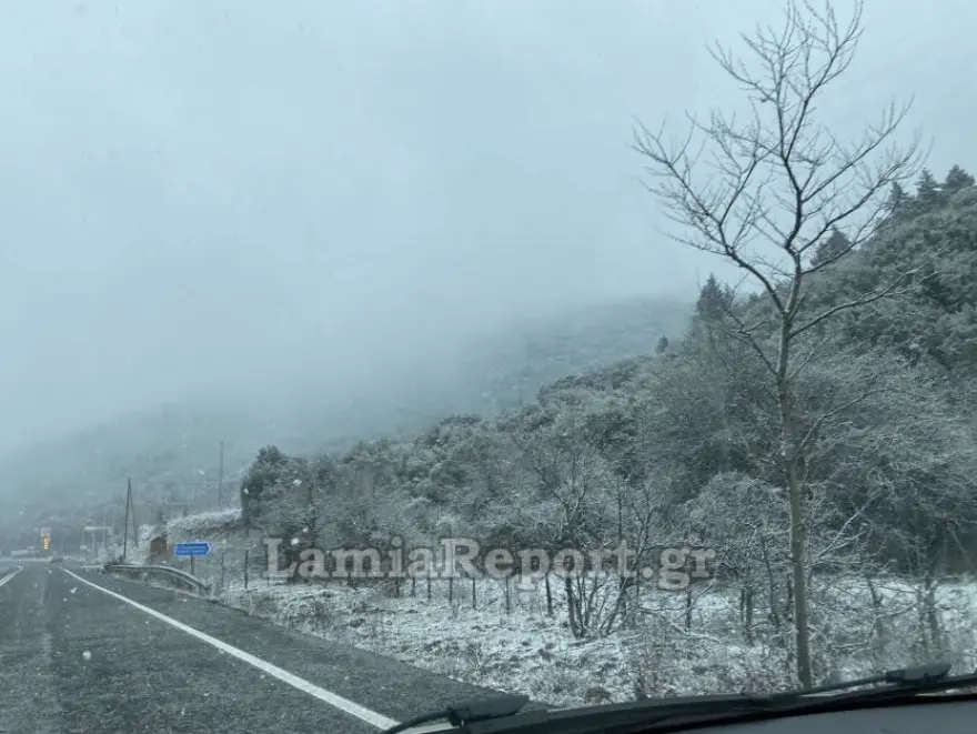 Χιονισμένο τοπίο γύρω από τη Λαμία – Εντυπωσιακές εικόνες (φωτο)
