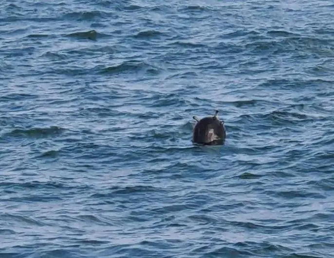 Η Τουρκία προειδοποιεί τα σκάφη για θαλάσσια νάρκη στα βόρεια της Κωνσταντινούπολης