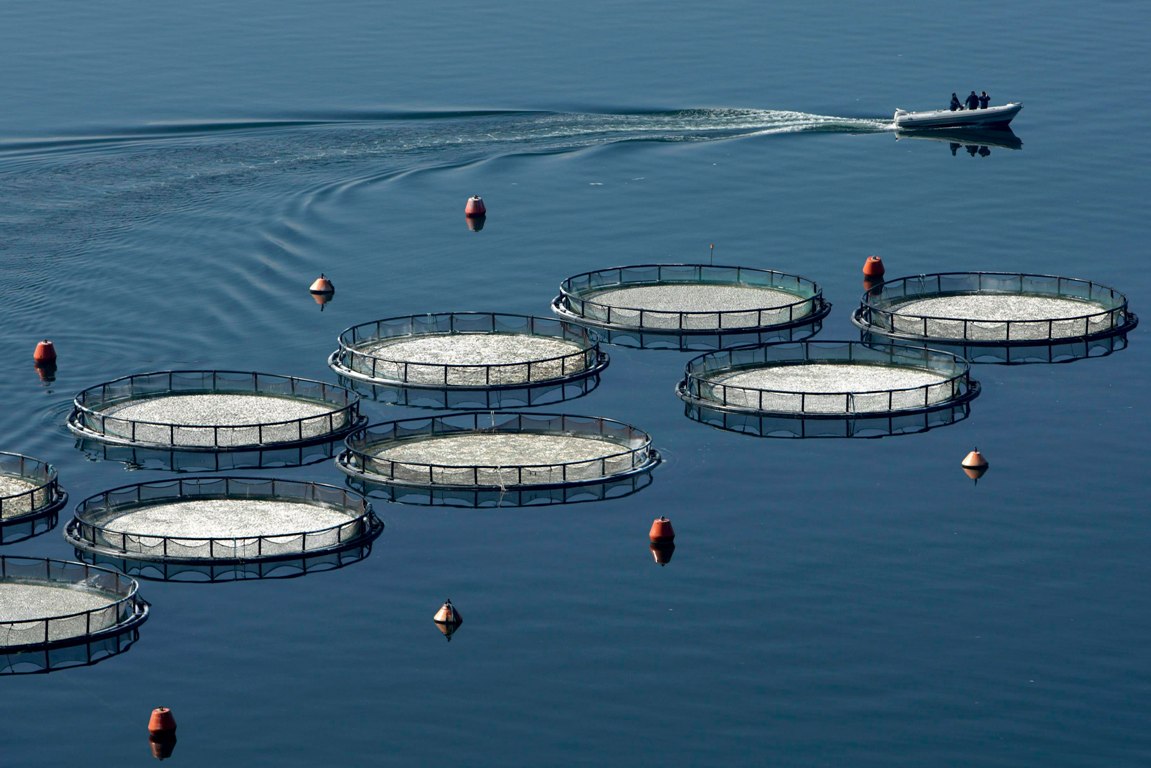 Η Ε.Ε. ενεργοποιεί μέτρα αντιμετώπισης κρίσεων για την στήριξη της αλιείας και των υδατοκαλλιεργειών