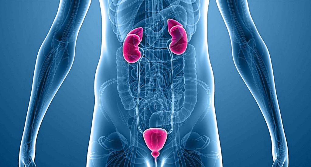 Συχνότητα ούρησης και υγεία: Τι δείχνει για την υγεία σας – Πότε πρέπει να πάτε στον γιατρό