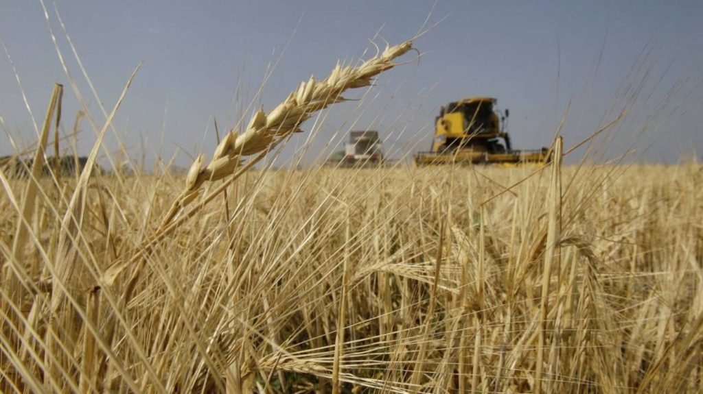 Νέα «βόμβα» από τη Μόσχα: «Ενεργοποιούμε ένα ήσυχο αλλά τρομερό όπλο – Θα πουλάμε τρόφιμα μόνο σε φίλους μας»!