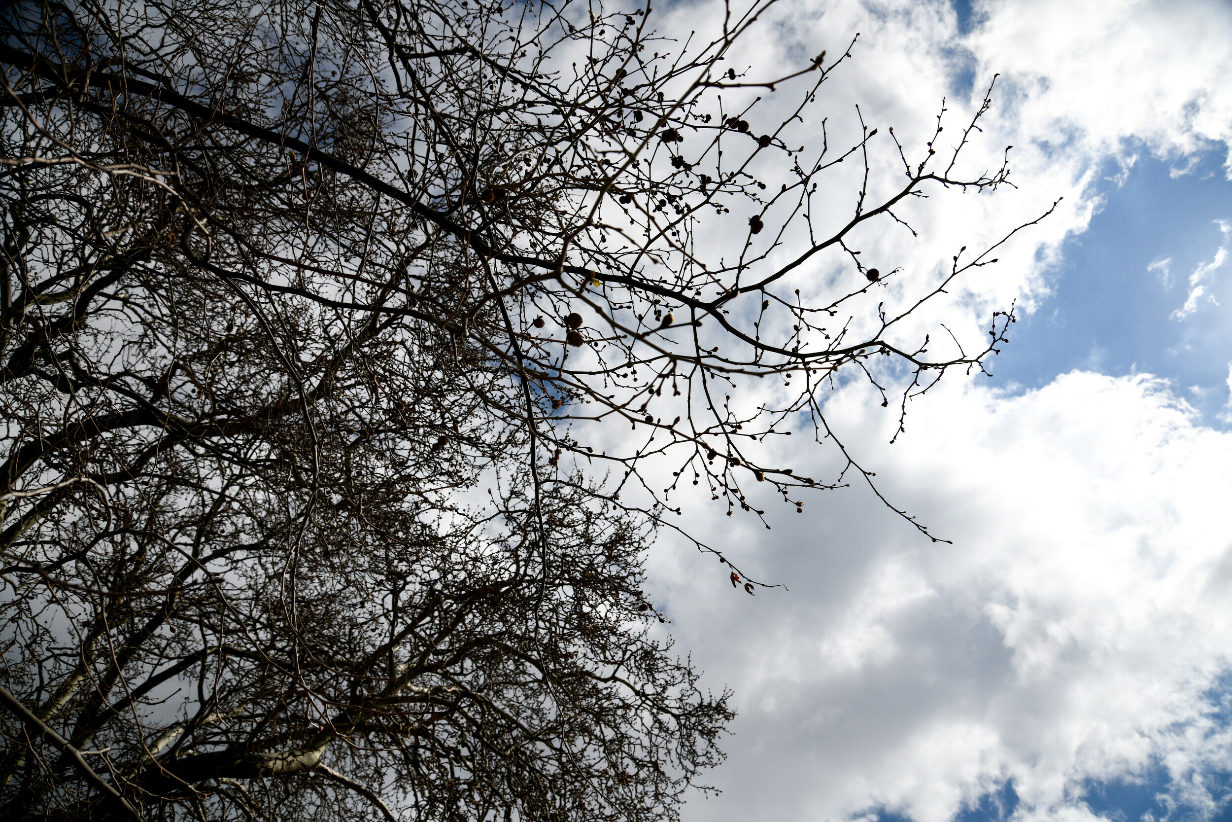 Καιρός: Συννεφιά και πτώση της θερμοκρασίας σήμερα – Πού θα βρέξει