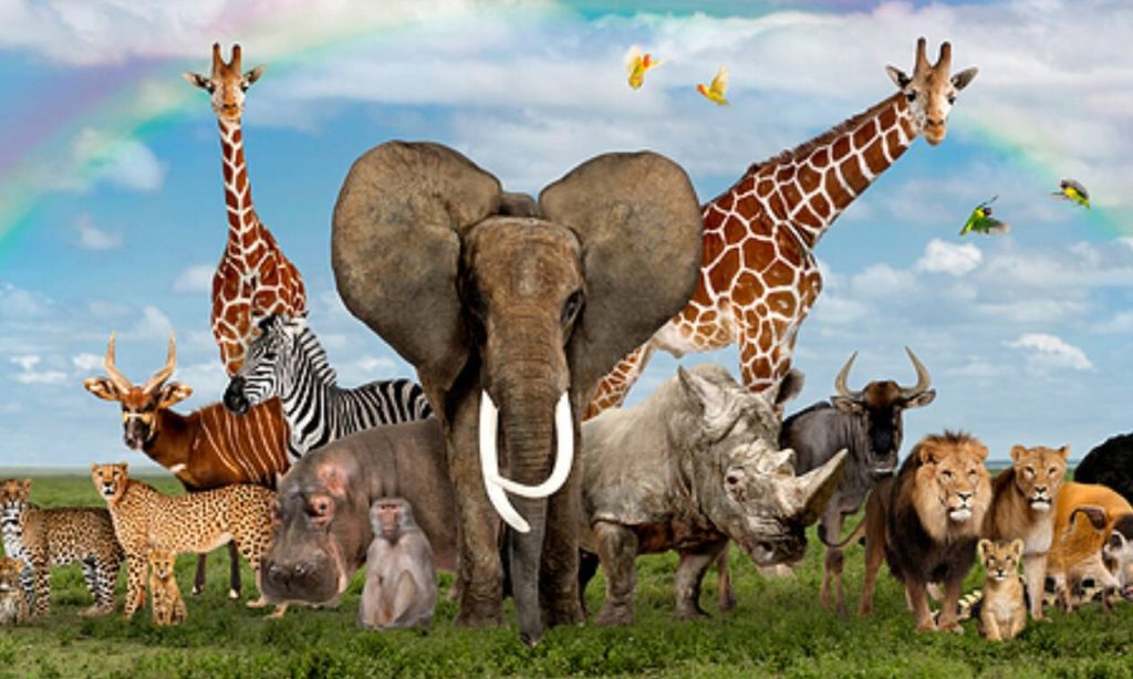 Έχετε αναρωτηθεί; – Ποια ζώα θα μπορούσε να κερδίσει ένας άνθρωπος βάση δύναμης;