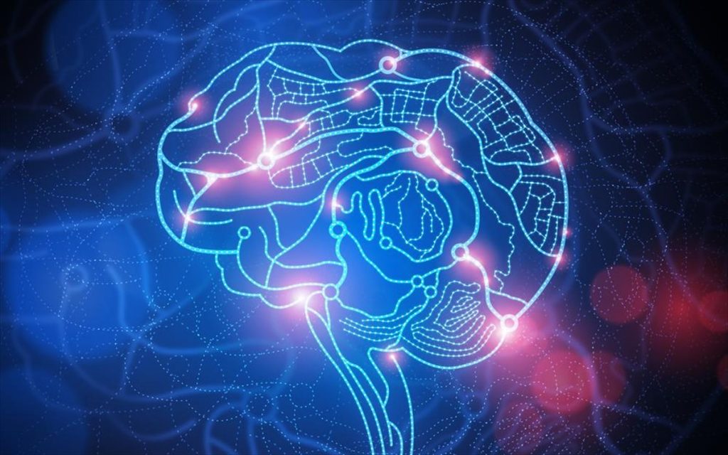 Δημιουργήθηκε ο πιο ολοκληρωμένος «χάρτης» για την πορεία του ανθρώπινου εγκεφάλου