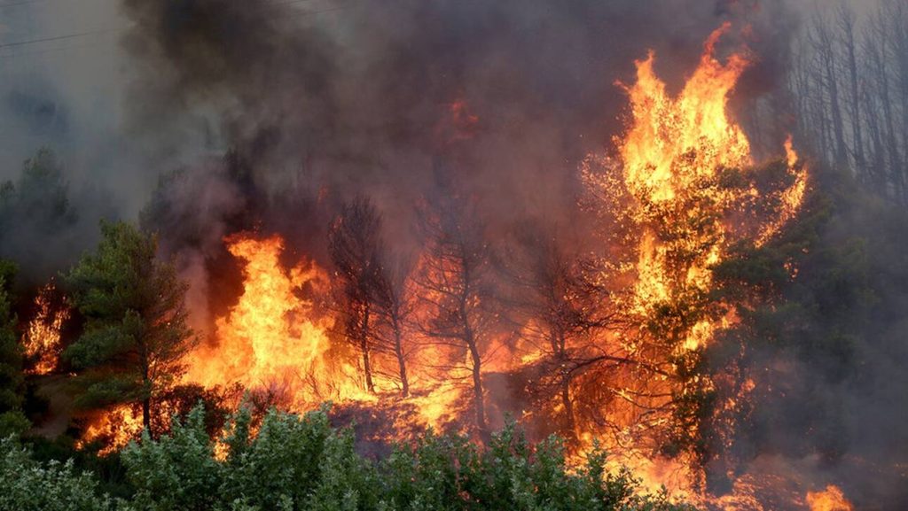 Φωτιά σε δασική έκταση στον οικισμό Αθίκια στην Κορινθία