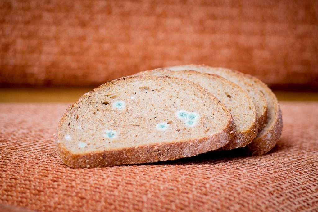 Μούχλα στο ψωμί; – Έτσι θα την προλάβετε