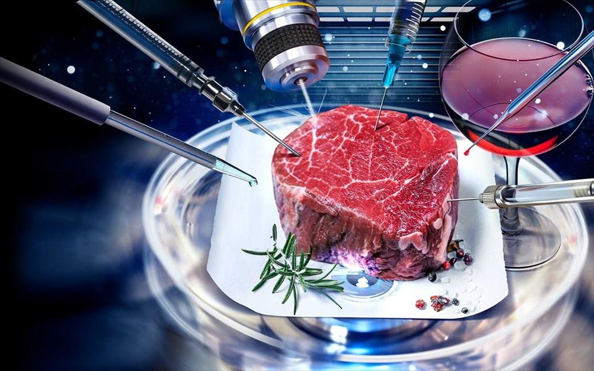 Μπριζόλες εργαστηρίου θα «μαγειρέψουν» οι νέοι διαστημικοί τουρίστες