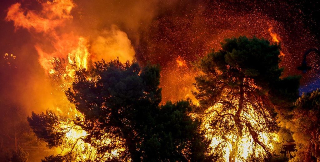 Κορινθία: Φωτιά σε δάσος στην περιοχή Ευρωστίνη