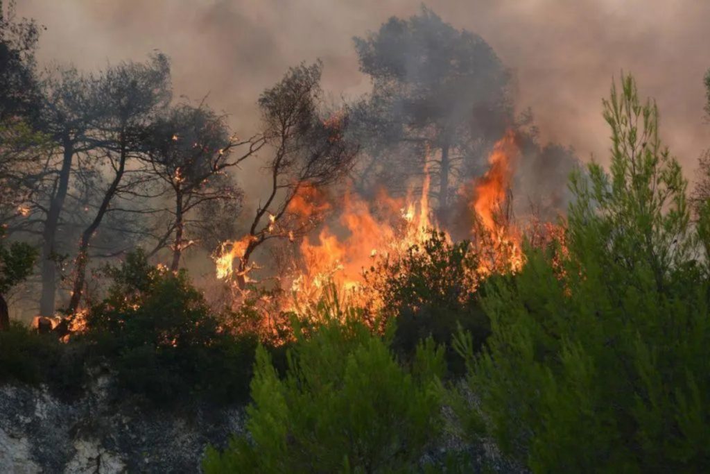Υπό μερικό έλεγχο η φωτιά που ξέσπασε σε δασική έκταση στη Χαλκιδική