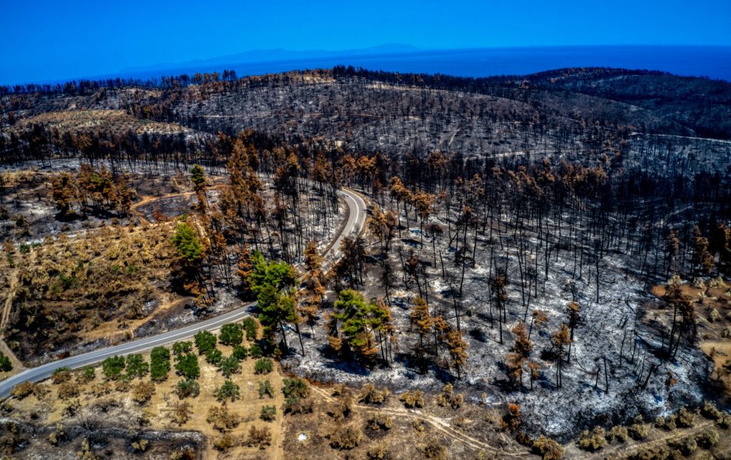Βίντεο-σοκ από την αποτεφρωμένη Εύβοια: Την έκαψαν και τώρα βάζουν ανεμογεννήτριες μέσα σε αρχαιολογικό χώρο