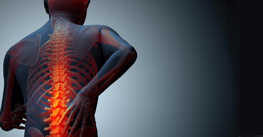 Αυτό το φρούτο προστατεύει από την οστεοπόρωση σύμφωνα με νέα μελέτη