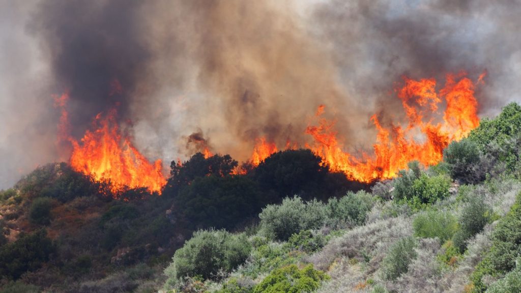 Αυξημένες οι δασικές πυρκαγιές στην Ελλάδα το πρώτο τρίμηνο του 2022 (φώτο)